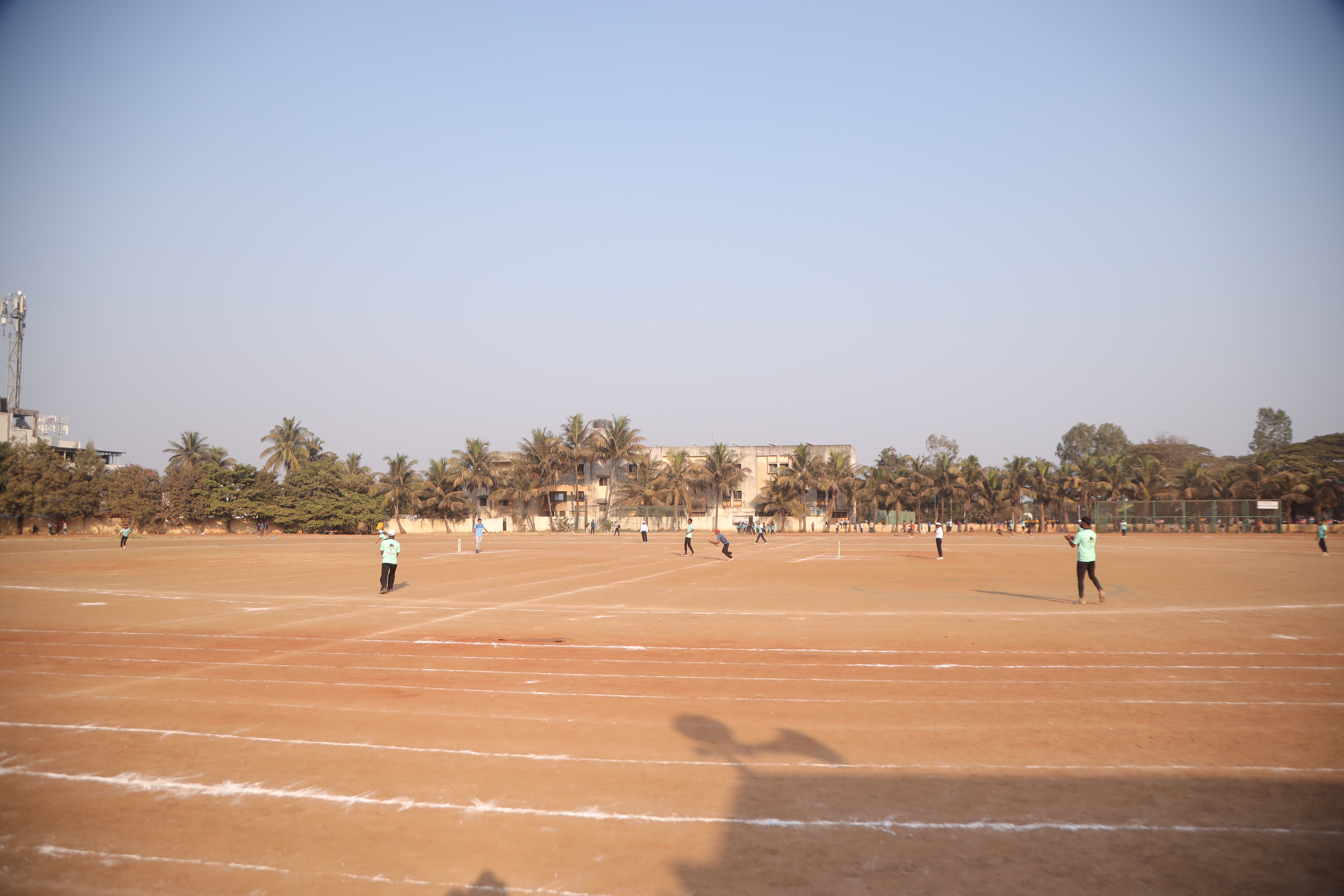 Cricket
